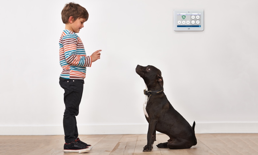 Hooks security systems